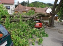 Kwikfynd Tree Cutting Services
gloucester