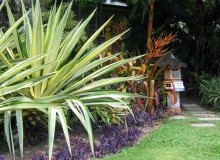 Kwikfynd Tropical Landscaping
gloucester
